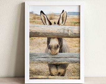 Donkey Print, Farm Animal Photo, Donkey Photo, Desert Animal, Donkey Gifts, Donkey Portrait, Farm Animal Wall Art
