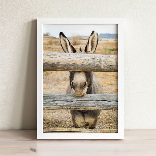 Donkey Art Print Farm Animal Wall Art Farmhouse Decor Etsy