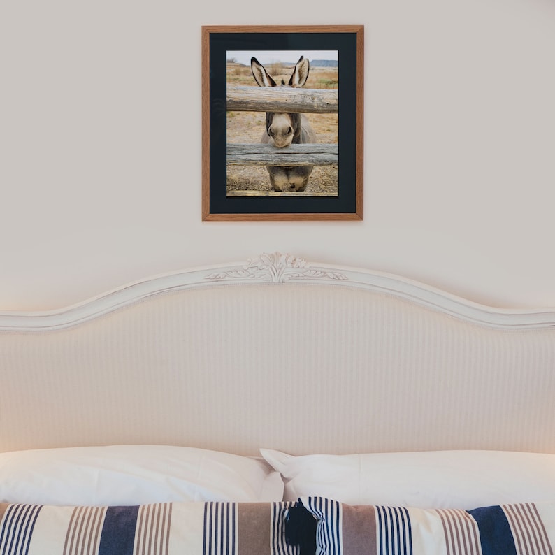 Op de afbeelding: Een ingelijste foto van een ezel die door een houten hek kijkt. De ezel is grijs en wit met grote oren. De foto hangt aan een witte muur boven een wit hoofdbord met een wit en blauw gestreept kussen.