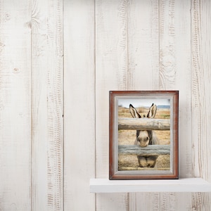 Op de afbeelding: Een ingelijste foto van een ezel die door een houten hek kijkt. De ezel is bruin en grijs met grote oren. De foto is geplaatst tegen een witgekalkte houten achtergrond.