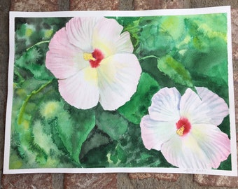 Hibiscus Flowers