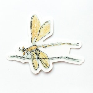 Dragonfly Sticker 3&quot;