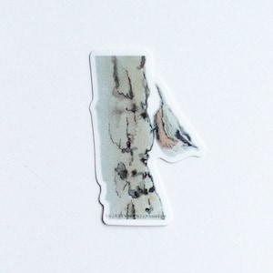 Boomklever Sticker - Waterverf Design