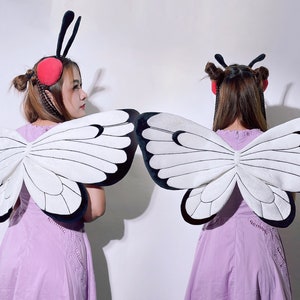 Serre-tête papillon et ailes pour déguisement / cosplay