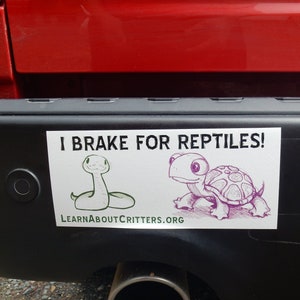 I BRAKE FOR REPTILES Bumper Sticker