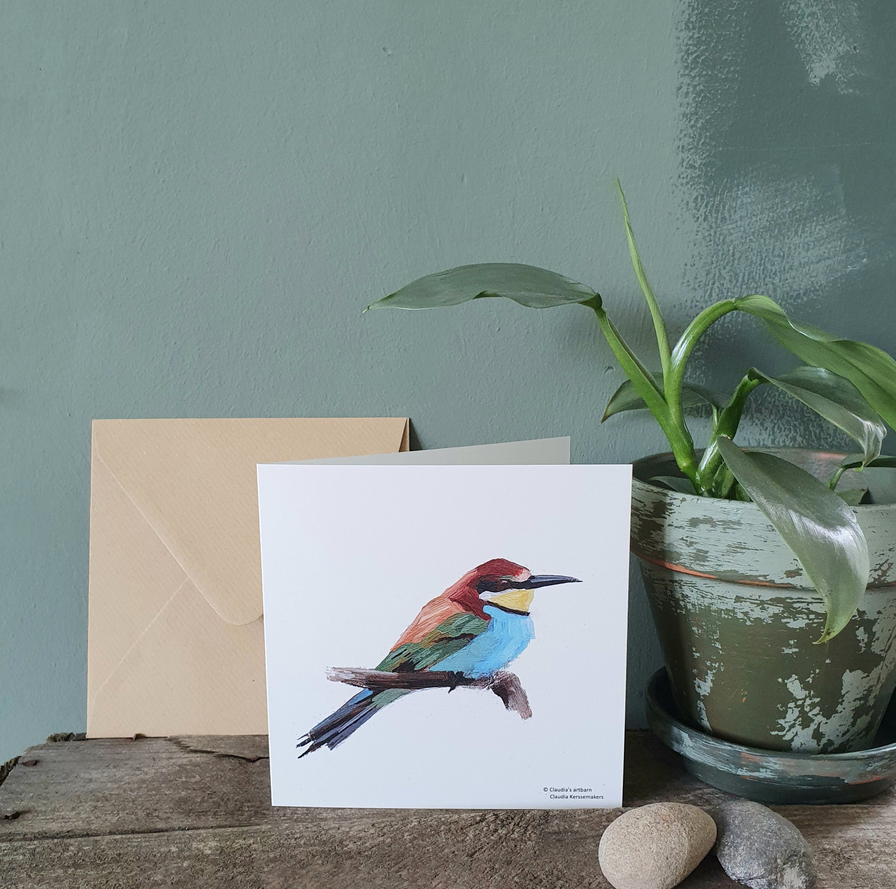 SET of 5 ECOfriendly greeting cards / bird cards / birds of Etsy