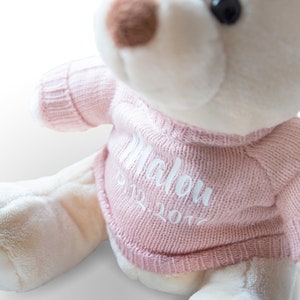 Teddy bear named cuddly toy