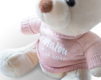Teddy bear named cuddly toy