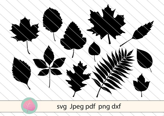 Download Leaves Svg Bundle Leaf Svg Silhouette Vector Clipart Leaf Etsy