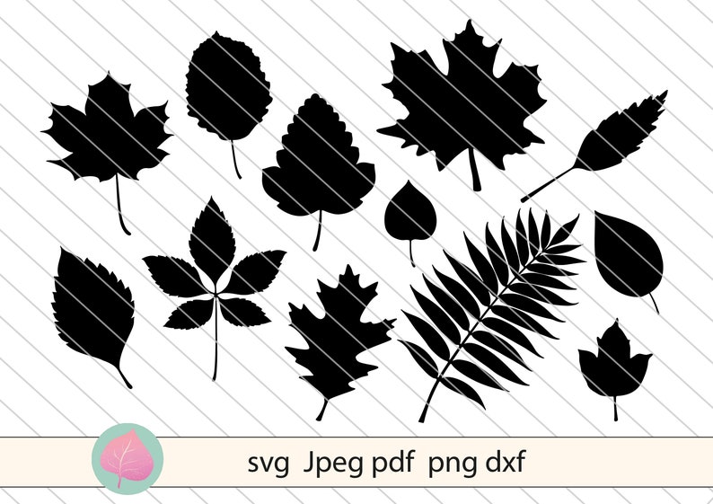 Download Leaves svg bundle leaf svg silhouette vector clipart leaf ...