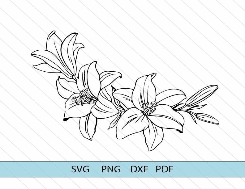 Lilith Flower Outline Svg Lilith Frame Svg Flower Rope Frame - Etsy UK