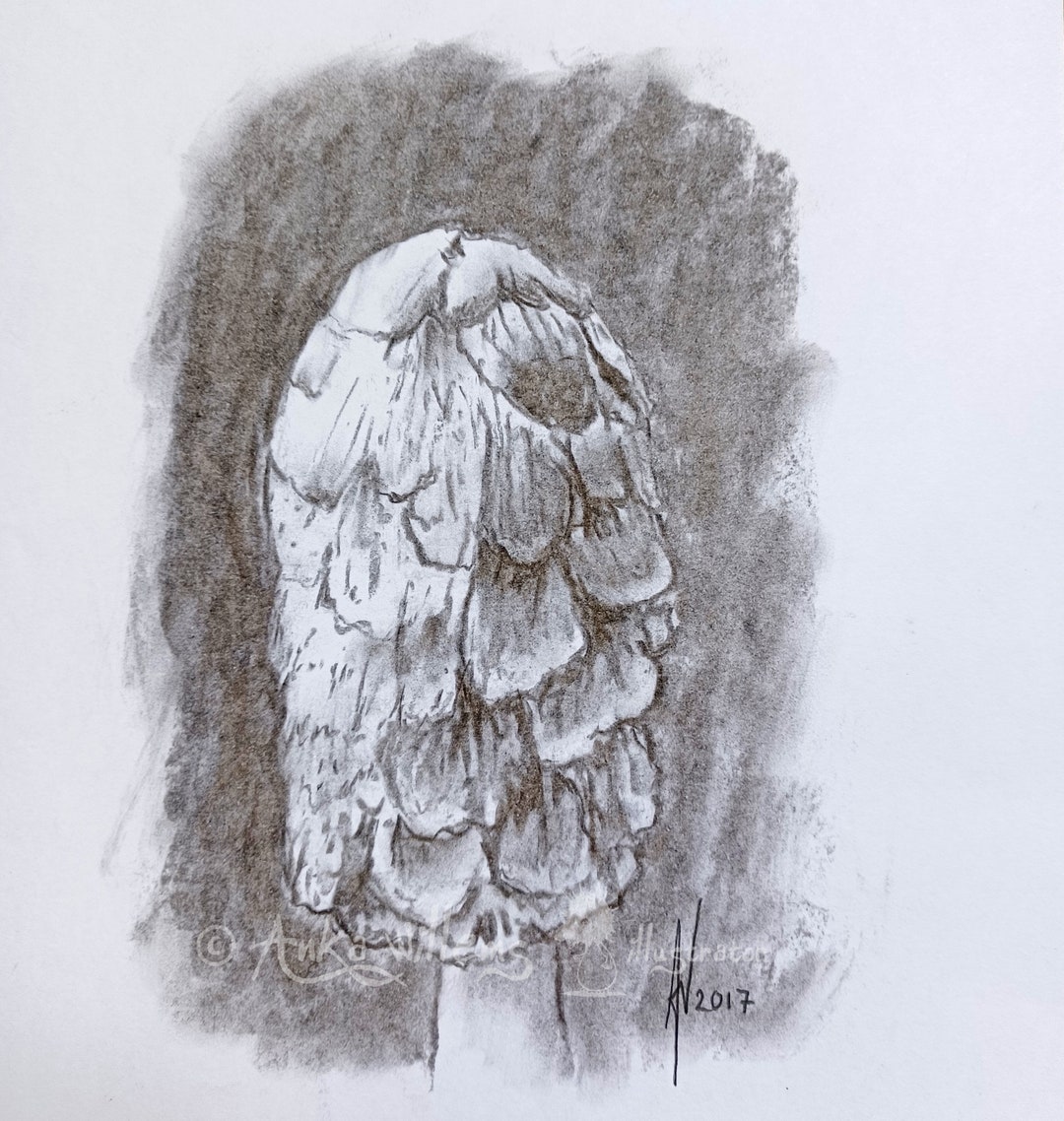Scaly Ink Mushroom Drawing - Etsy