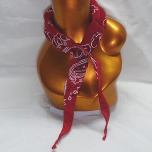 Red Neck kühlende Krawatten aus reinen Bandannas, Hydro-Gel-Polymer bleibt tagelang kühl.