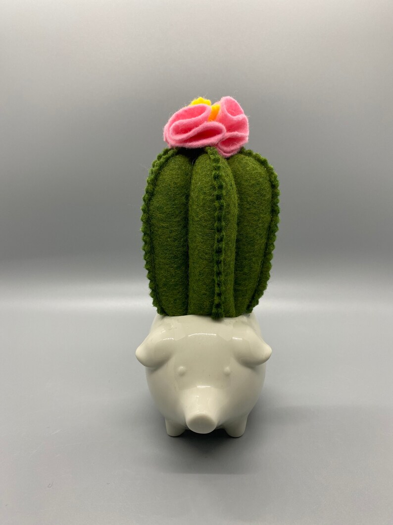 Pig Felt Cactus Home Decor Office Decor Cactus Pot Cactus ...