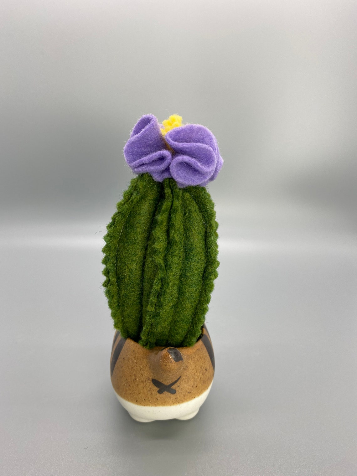 Felt Cactus Home Decor Office Decor Cat Cactus Pot Cactus Etsy UK