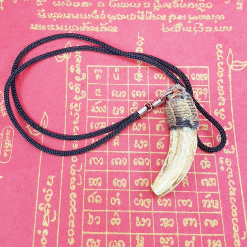 Tooth Fang Boar Genuine Rope Nechlace Power Magic Life Holy Thai Amulet Pendant Keyring Keychain