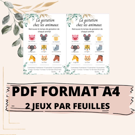 Baby Shower Games in French to Print Gender Announcement Baby