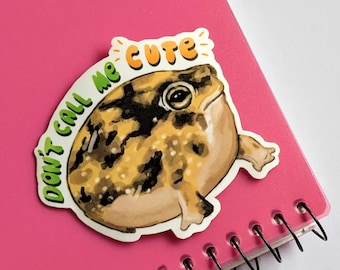 Desert Rain Frog Sticker, Waterproof Sticker, Vinyl Frog Sticker for Laptop, Car, Water Bottle, or Planner, Gift for Frog Lover