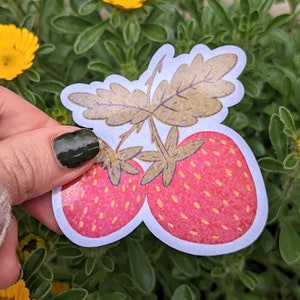Strawberries Holographic Sparkle Sticker, Strawberry Sticker, Holographic Sticker, Sparkly Sticker, Fruit Sticker, Cute Stickers