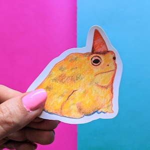 Frog in Party Hat Vinyl Sticker, Waterproof Option, Cute Frog Sticker, Realistic Frog Sticker, Chubby Frog Sticker, Frogs in Hats, Frog Gift