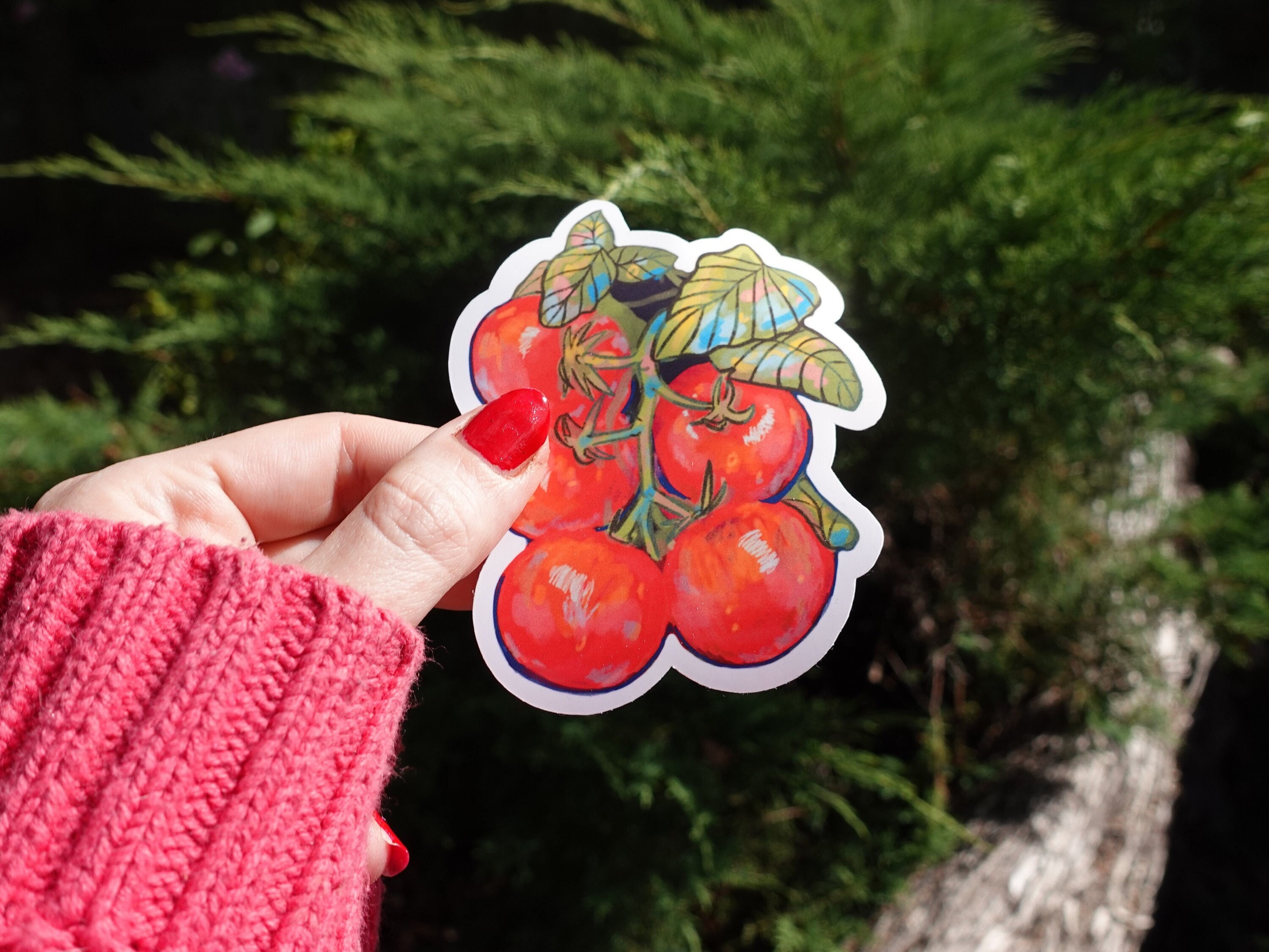 Sticker Toomatoes Tomatoes Vinyl Sticker | Waterproof Option | Cottagecore Tomato Sticker ...