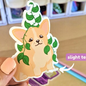 May include: A sticker of a cartoon corgi with green vines growing around it. The sticker has slight tears on the bottom edge.