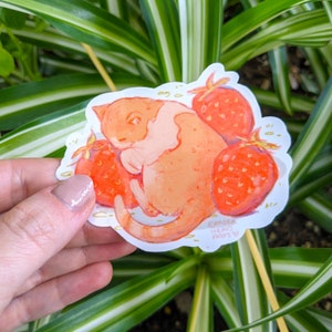 Sticker chat fraise | Sticker imperméable, Sticker chat mignon, Sticker fantaisiste, Stickers chat, Sticker Cottagecore, oeuvre d'art originale