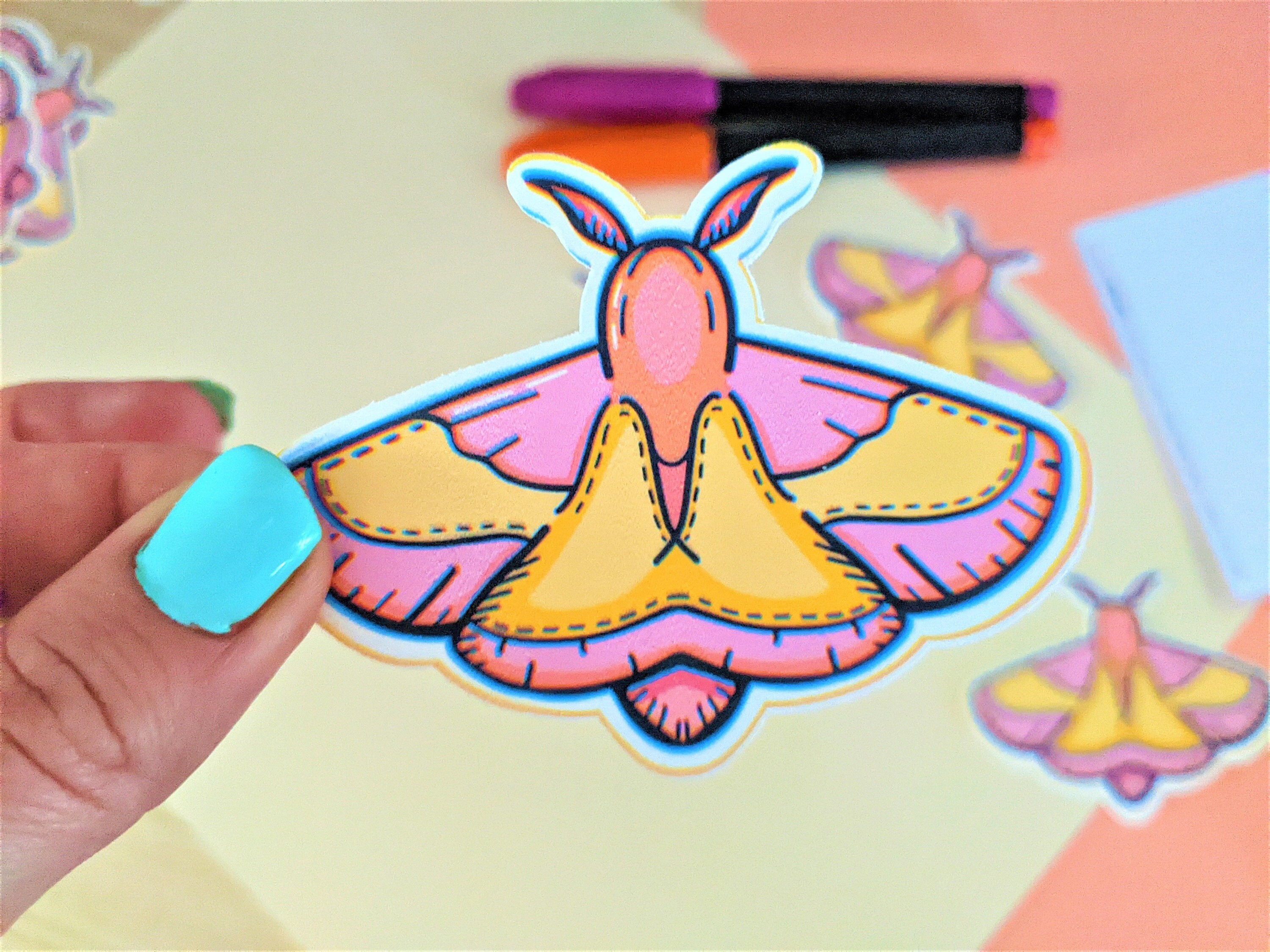 Rosy Maple Moth 3