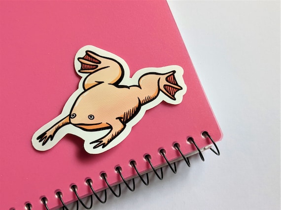 African Clawed Frog Sticker, 3" Vinyl Sticker, Waterproof Sticker, Realistic Frog Sticker, Cute Frog Sticker, Gift for Frog Lover