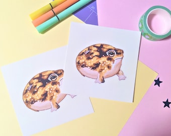 Desert Rain Frog Mini Art Print | 3.7" x 3.7" |  Frog Wall Art, Frog Art Print, Frog Decor, African Rain Frog, Cute Frog, Realistic Frog Art