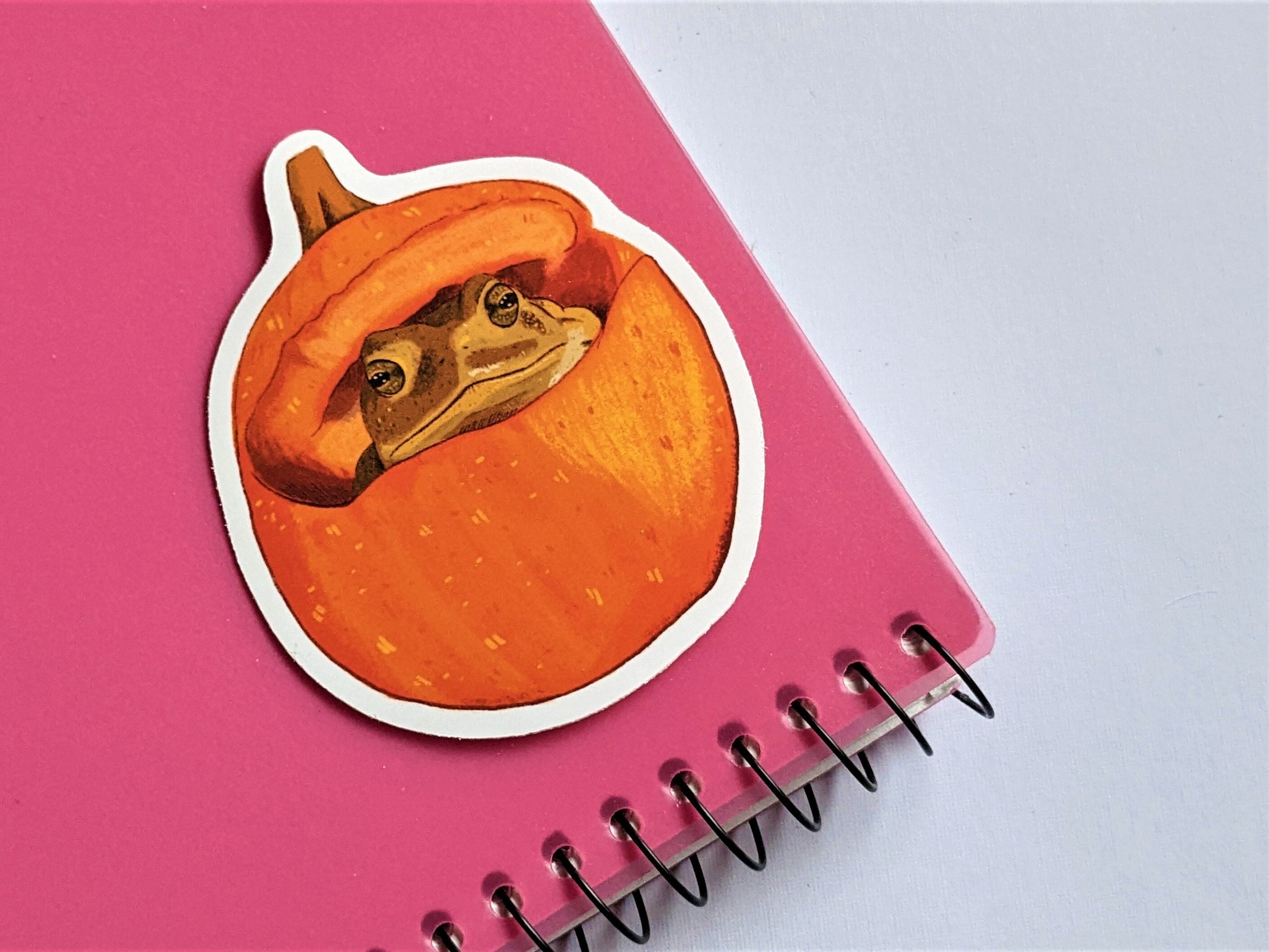 Frog Sticker Mystery Bag: Funky Art Prints, Vinyl Decals - Etsy, image size:2822x2116