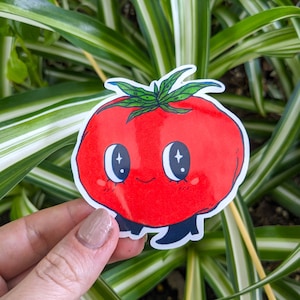 May include: A red cartoon tomato with a happy face and sparkling eyes. The tomato has a green stem and leaves.