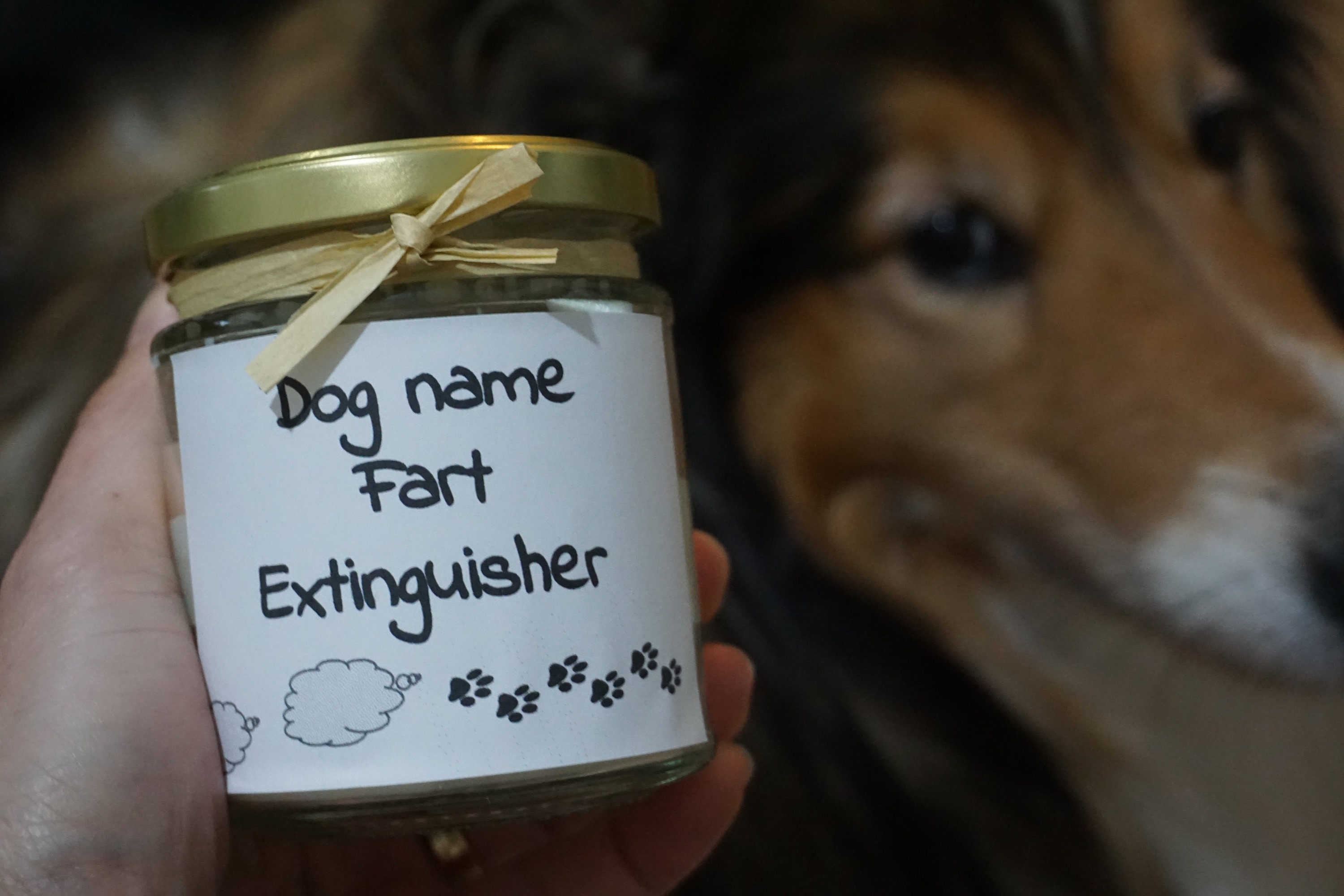 Funny Candle Gift, Dog Fart Candle, Dog Lover Gift, Dog Lover Candle