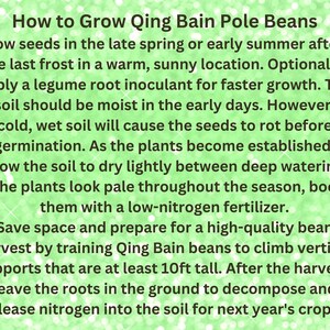May include: An informational graphic with dark brown text on a light green, sparkling background. The text provides instructions on how to grow Qing Bain pole beans, including planting, watering, fertilizing, and harvesting tips for 10ft tall supports.