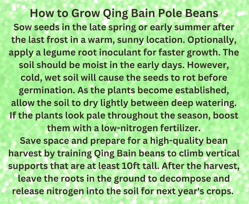 May include: An informational graphic with dark brown text on a light green, sparkling background. The text provides instructions on how to grow Qing Bain pole beans, including planting, watering, fertilizing, and harvesting tips for 10ft tall supports.