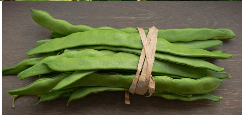 May include: A bundle of fresh, vibrant green flat beans tied together with a strip of light brown raffia. The beans are long, slender, and have a slightly curved, textured surface, showcasing their natural, raw, and unpeeled state.