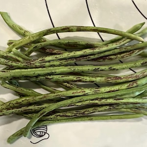 Può includere: Un mazzo di fagiolini verdi con macchie marroni su una superficie bianca.