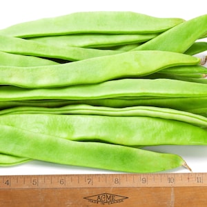 May include: A pile of fresh, bright green flat beans arranged horizontally above a wooden ruler. The ruler shows the beans measure approximately 15 inches in length. The beans have a smooth, elongated, and slightly curved shape with tapered ends.