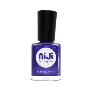 Shimmery Eggplant Purple Nail Polish: Vegan 10-Free Lacquer