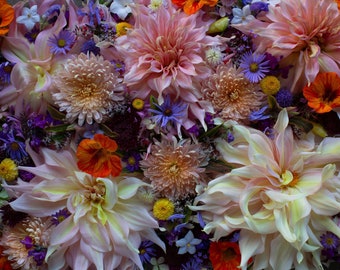 Puede incluir: Un primer plano de un ramo de flores rosas, blancas y amarillas. Las flores están dispuestas en un estilo suelto y natural, y están rodeadas de hojas verdes. Las flores están enfocadas y el fondo está desenfocado.