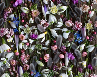 Könnte beinhalten: Eine flache Anordnung verschiedener Frühlingsblumen und -pflanzen, darunter weiße Schneeglöckchen, violette Krokusse, rosa Blüten und graue Weidenkätzchen.