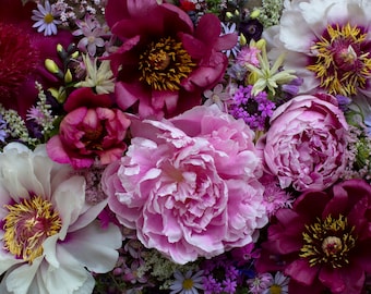 Könnte beinhalten: Eine Nahaufnahme eines Straußes aus rosa, weißen und violetten Pfingstrosen und anderen Blumen. Die Blumen sind in einem lockeren, natürlichen Stil angeordnet, und die Farben sind weich und romantisch.