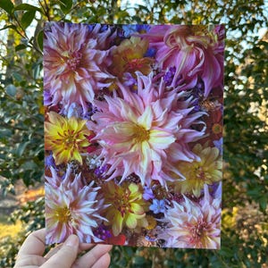May include: A close-up of a bouquet of pink, yellow, and purple flowers. The flowers are arranged in a tight cluster, with the petals overlapping. The bouquet is in focus, while the background is blurred.