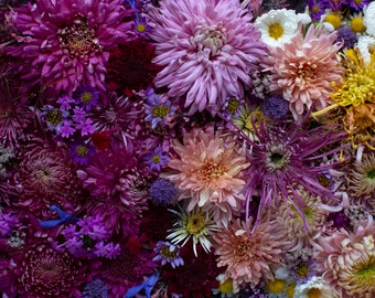 Könnte beinhalten: Nahaufnahme eines Straußes aus rosa, lila und weißen Blumen. Die Blumen sind in einem zufälligen Muster angeordnet und umfassen Chrysanthemen, Gänseblümchen und andere Sorten.