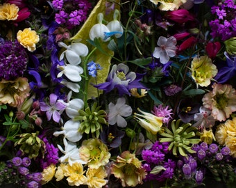 Könnte beinhalten: Eine Nahaufnahme eines Straußes bunter Wildblumen, darunter violette, blaue, gelbe, weiße und rosa Blüten. Die Blumen sind in einem zufälligen Muster angeordnet und erzeugen eine lebendige und strukturierte Darstellung.