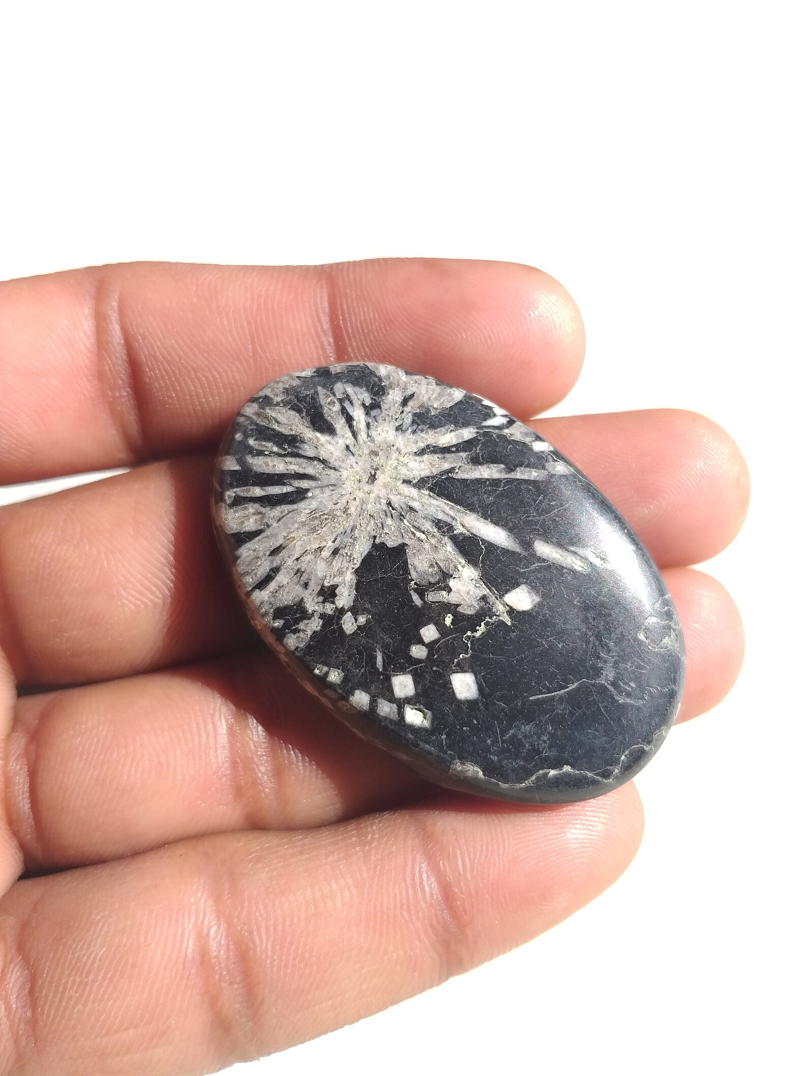 48x31x8 MM Excellent Chrysanthemum Stone Cabochon Gemstone Etsy