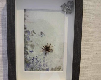 Little bee in cute frame
