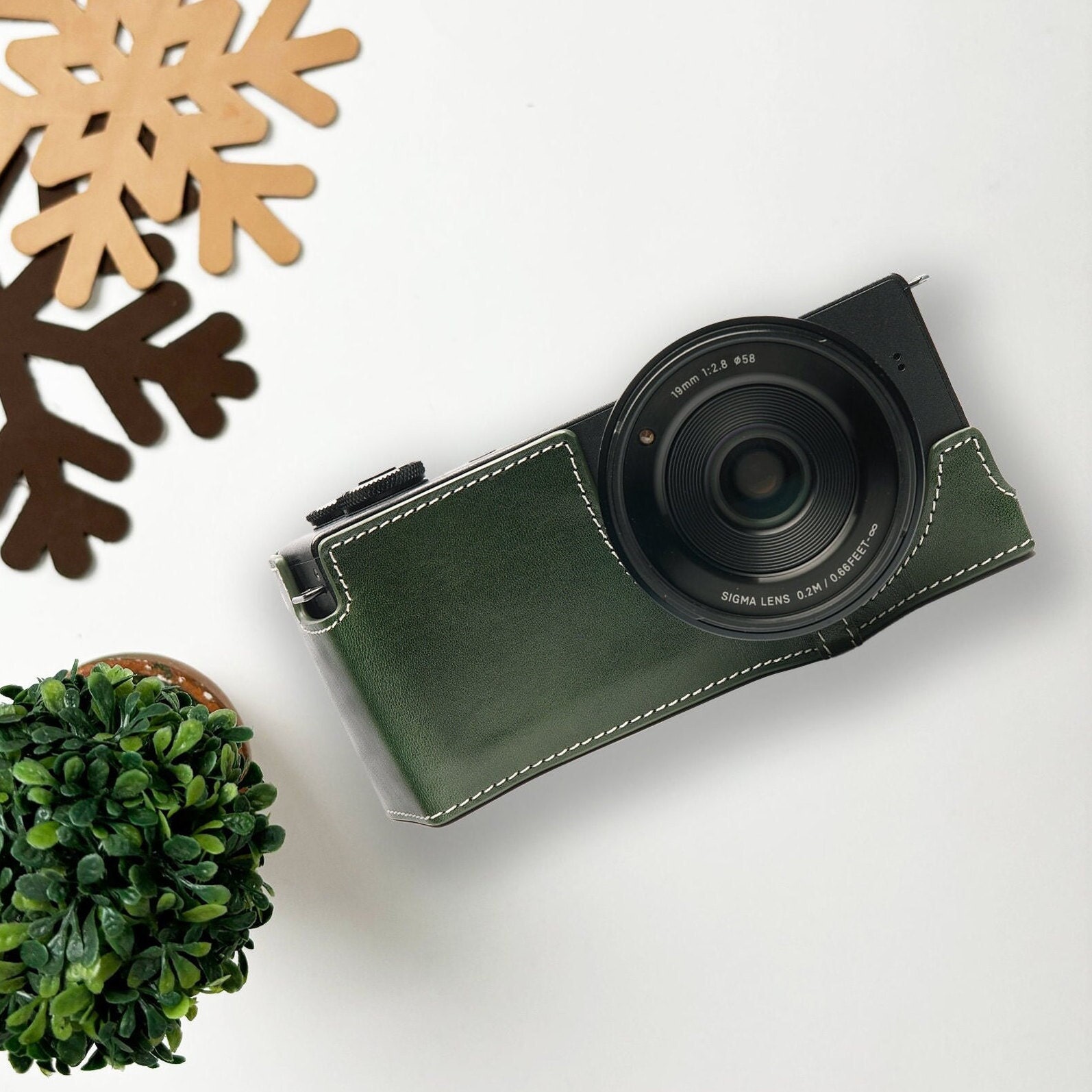 Sigma Dp1q Case Hong Kong