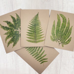 May include: Four kraft paper cards with detailed green fern illustrations. The fern fronds are depicted in various arrangements, showcasing the plant's intricate leaf structure. The cards are arranged on a white wooden surface.