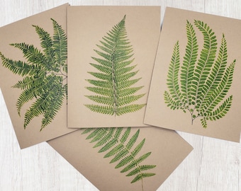 Fern Greeting Card Pack | Eco Friendly Greeting Cards | Blank Inside